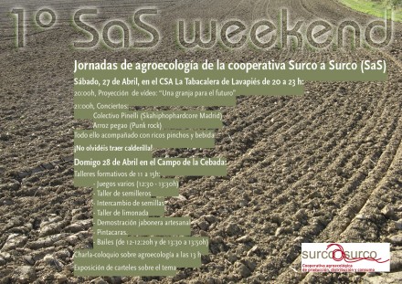 sasweekend2_web (1)